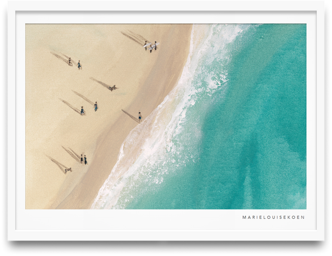 Beach Walk Landscape