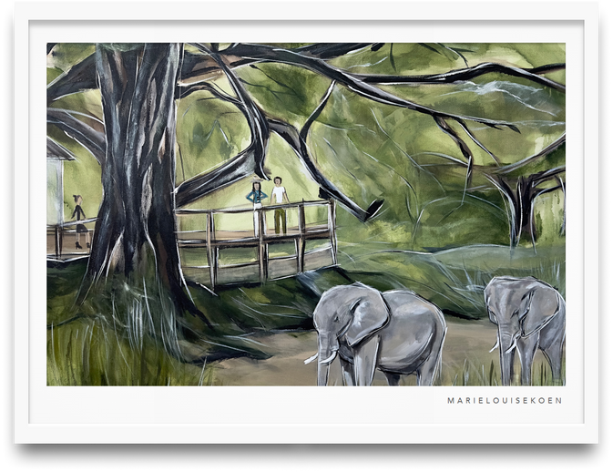 Safari Landscape